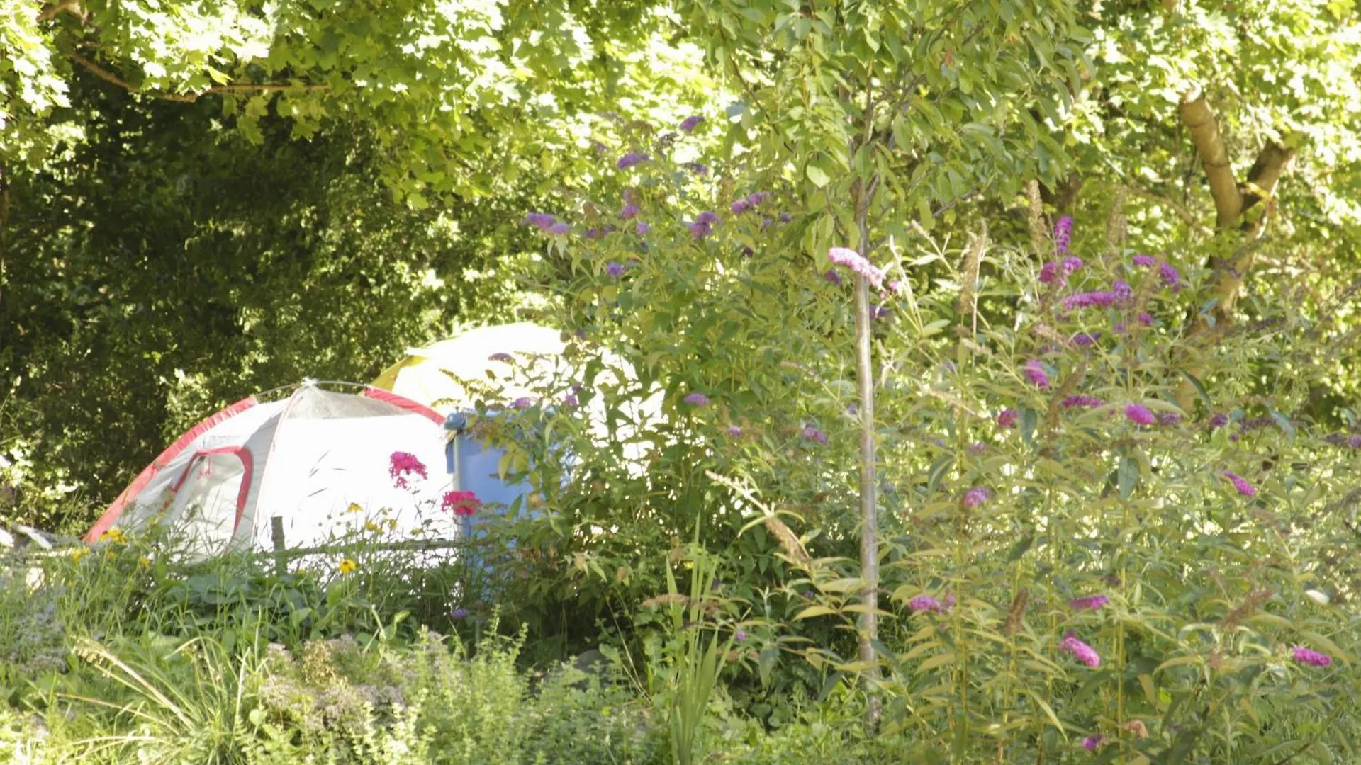 Hostel The Tent - Youth Only - Buchung Leider Nur Bis 30 Jahre Moeglich! Munich Germany
